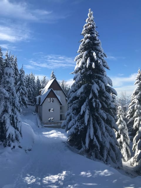 Pekakop Treska Apartment in Serbia
