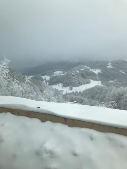 Pekakop Treska Apartment in Serbia