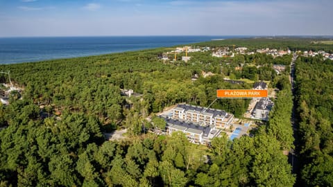 Natural landscape, Bird's eye view