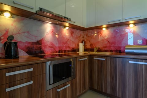 Kitchen or kitchenette, minibar, pet friendly, stove