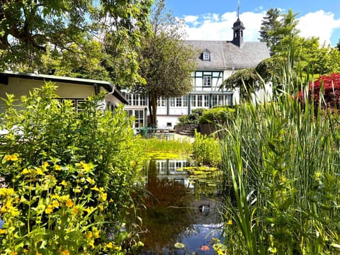 Property building, Garden, Garden view