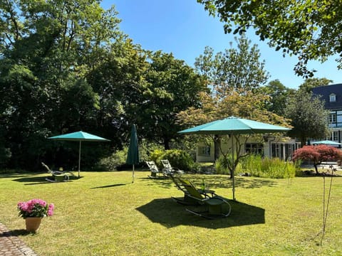Garden, Garden view, sunbed