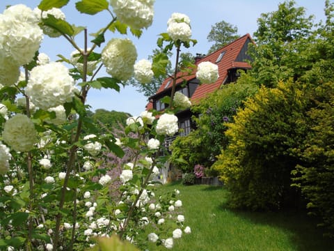 Property building, Spring