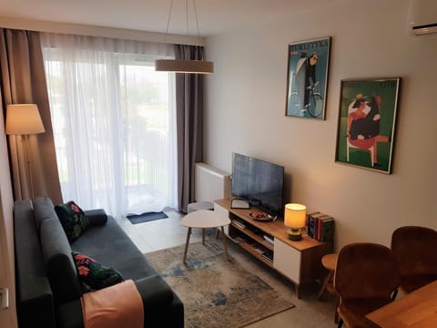 Communal lounge/ TV room, TV and multimedia, Balcony/Terrace, Living room, Seating area, Evening entertainment, air conditioner, air conditioner