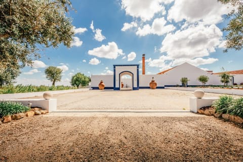 Natural landscape, Garden view