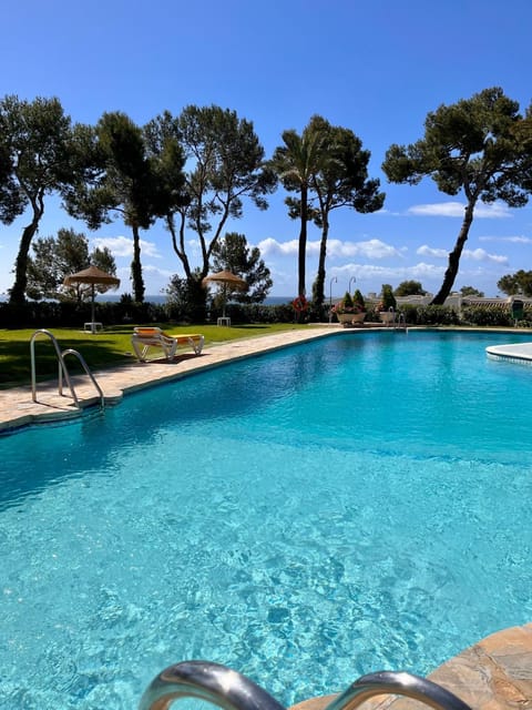 Property building, Restaurant/places to eat, Day, Swimming pool, sunbed