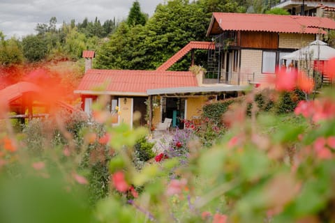 Garden, Garden view