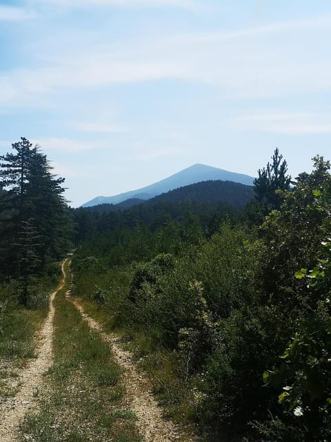 Le Silence Du Ventoux Apartment in Malaucène