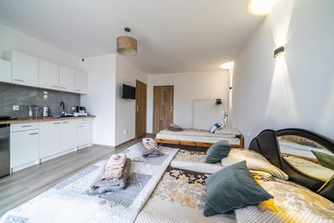 Willa Bliźniak Vacation rental in Wladyslawowo