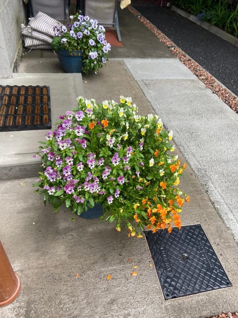 Harrys place Apartment in Westmeath, Co. Westmeath, Ireland