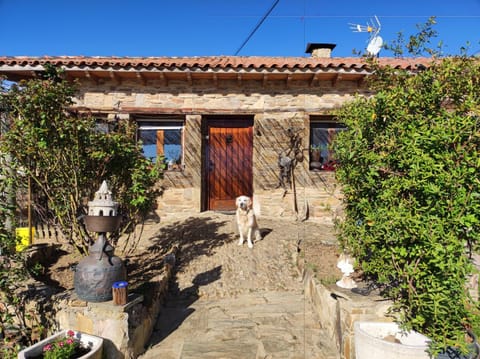 Property building, Lobby or reception, Pets