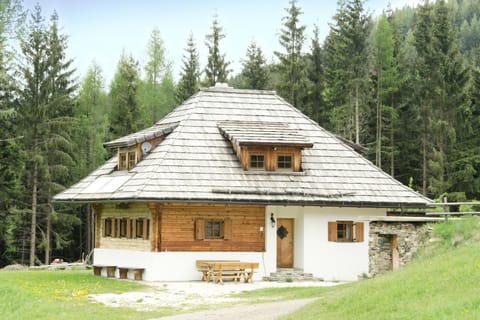 Almhütte - Schwaig House in Carinthia, Austria