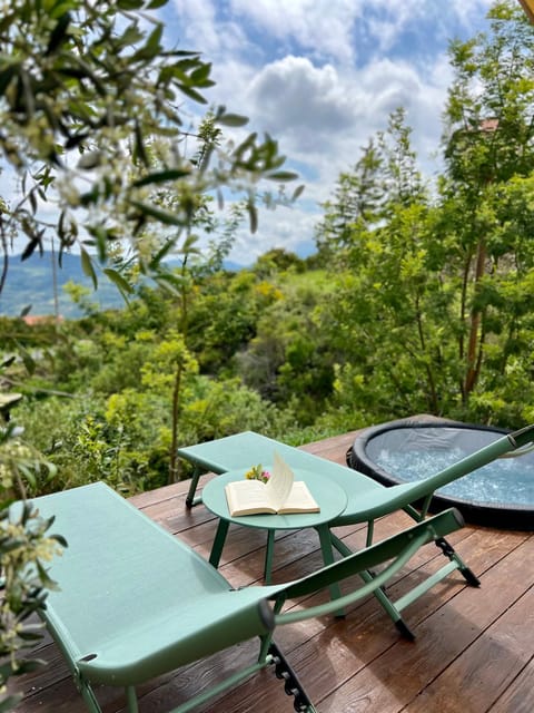 Patio, Natural landscape, Garden, View (from property/room), Balcony/Terrace, sunbed