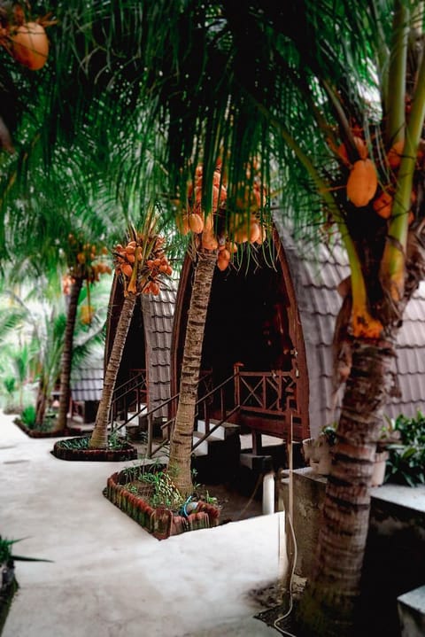 Day, Garden, Garden view, Area and facilities