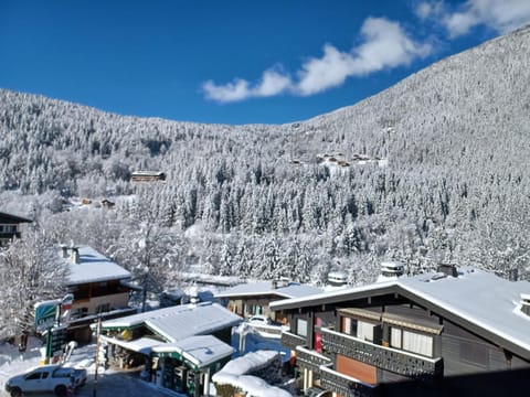 Refuge des Alpages - Duplex - Vue Aiguillette des Houches Apartment in Les Houches