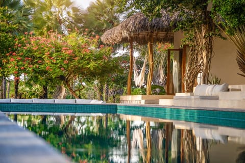Spring, Day, Natural landscape, Garden, Garden view, Pool view, Swimming pool