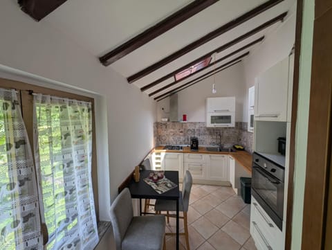 Kitchen or kitchenette, dishwasher, minibar, oven