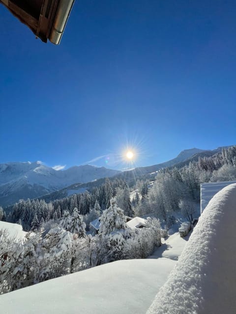 Vue splendide Mont Blanc Apartment in Saint-Gervais-Bains