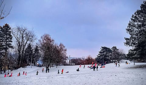 Apartman Borići Apartment in Serbia