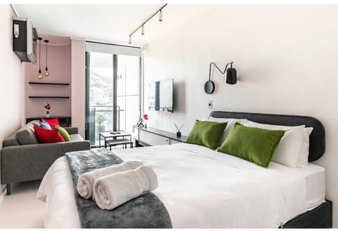 The little Flamingo Apartment in Sea Point