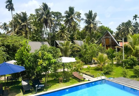 Natural landscape, Garden, Pool view, Swimming pool