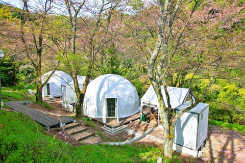 Property building, Day, Natural landscape