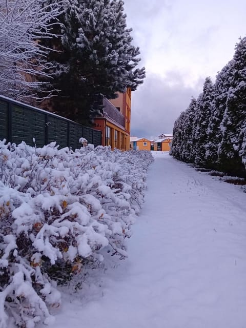 Natural landscape, Winter