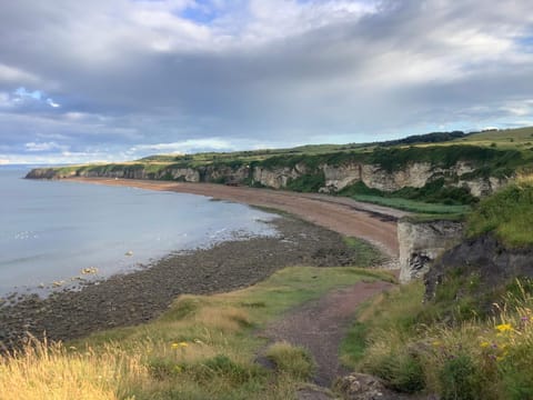 Nearby landmark, Natural landscape