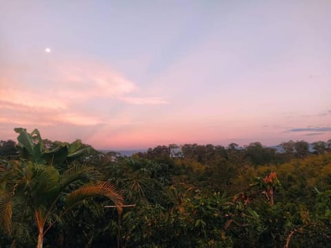 Day, Natural landscape, Sunset