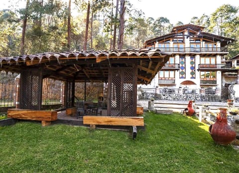 Property building, Patio, Day, Natural landscape, Garden, Garden view