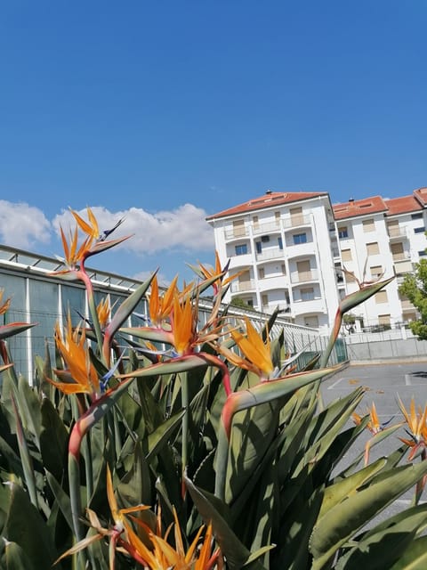 Mare Verde Alloggio con terrazza Apartment in San Bartolomeo al Mare