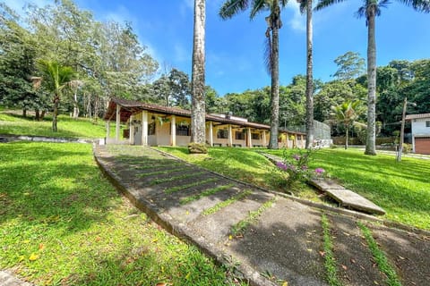 Patio, Garden, Garden view