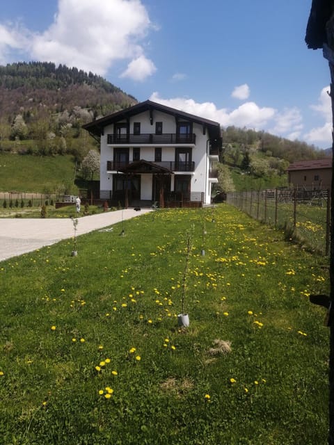 Property building, Spring, Day, Natural landscape, Garden, Garden view, Mountain view