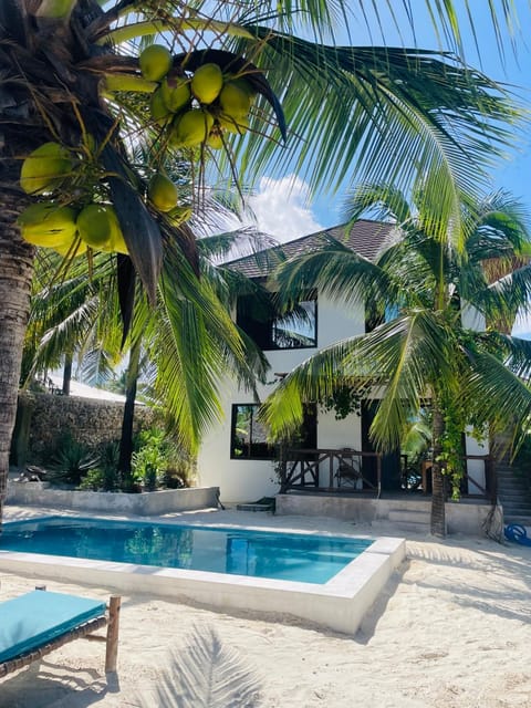 Property building, Patio, Day, Garden, View (from property/room), Garden view, Pool view, Swimming pool, sunbed