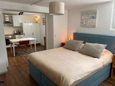 Sweet Home Apartment in Fribourg, Switzerland