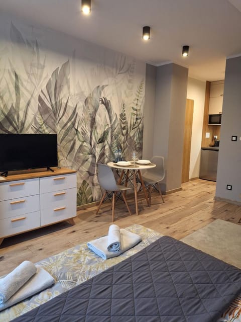 Bed, TV and multimedia, Kitchen or kitchenette, Dining area, Bedroom