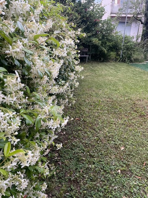 Casa M&N House in Trentino-South Tyrol