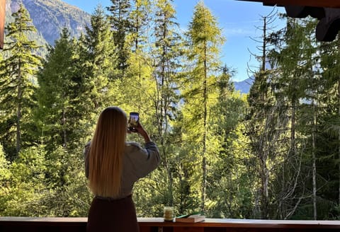 Peacefull Mountains View Apartment in Canton of Valais