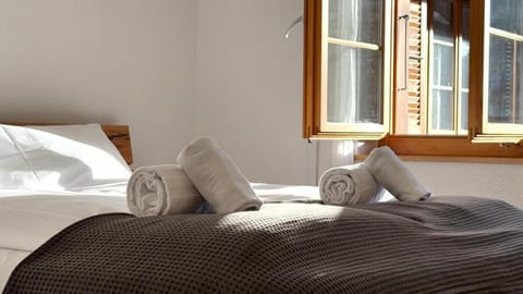 Peacefull Mountains View Apartment in Canton of Valais