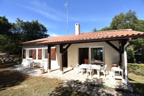 Patio, Garden