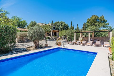 Swimming pool, sunbed