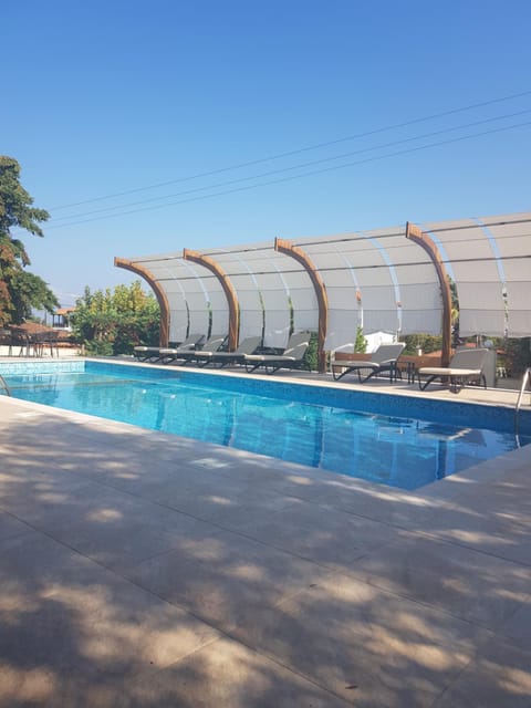 View (from property/room), Pool view, Swimming pool