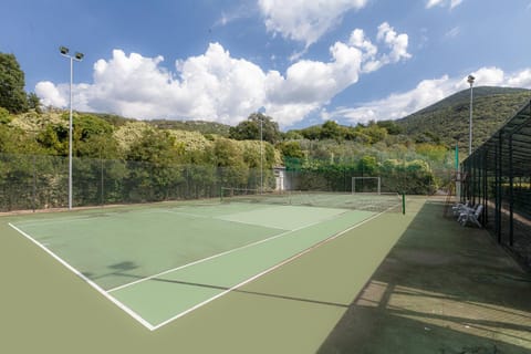 Tennis court