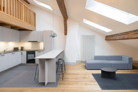 La Sauvage Apartment hotel in Fribourg