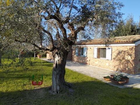 Property building, Garden, Garden view