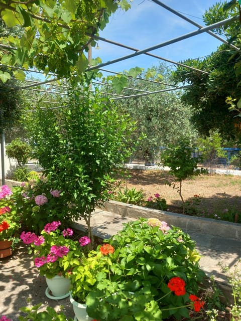 Garden, Garden, Garden view