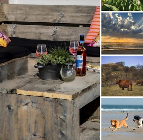 Spring, Natural landscape, Summer, Garden, Beach