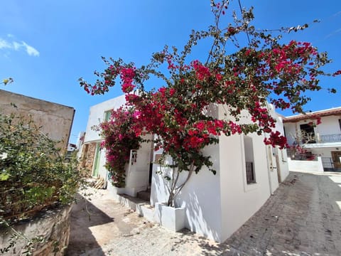 Property building, Spring, Day, Neighbourhood, Garden, Garden view, Street view