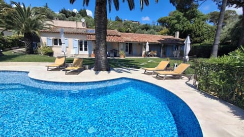 Property building, Patio, Garden, Swimming pool, sunbed