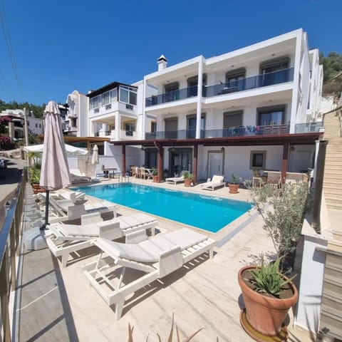 Property building, Pool view, Swimming pool, sunbed
